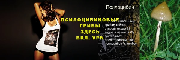ГАЛЛЮЦИНОГЕННЫЕ ГРИБЫ Абинск