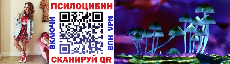 Галлюциногенные грибы MAGIC MUSHROOMS  Холм 